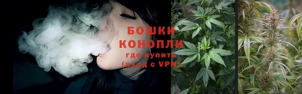 ГАЛЛЮЦИНОГЕННЫЕ ГРИБЫ Алексеевка