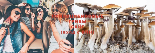 гашик Абдулино