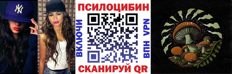 Галлюциногенные грибы Cubensis  сколько стоит  mega сайт  Новоалександровск 