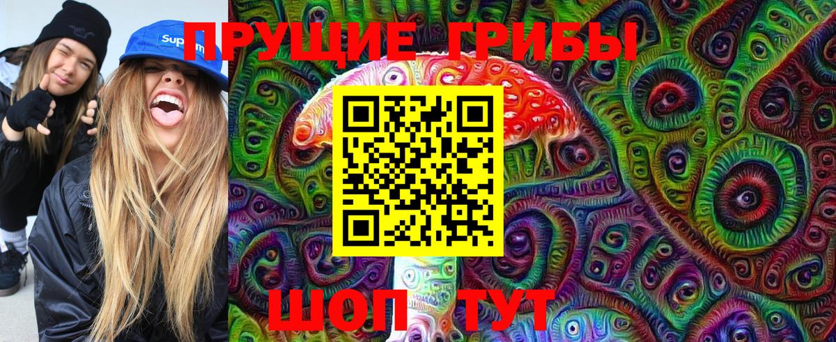 Новоалександровск  Галлюциногенные грибы мицелий  Вход с VPN  как найти закладки  Галлюциногенные грибы GOLDEN TEACHER 
