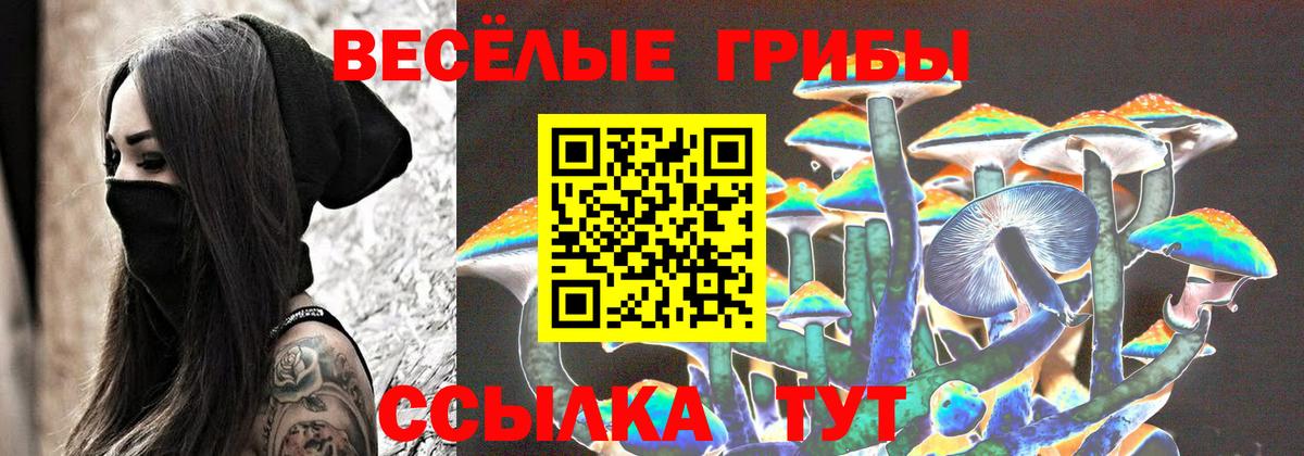 Галлюциногенные грибы Cubensis Новоалександровск